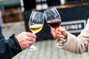 svatomartinske_slavnosti_ilustrfoto