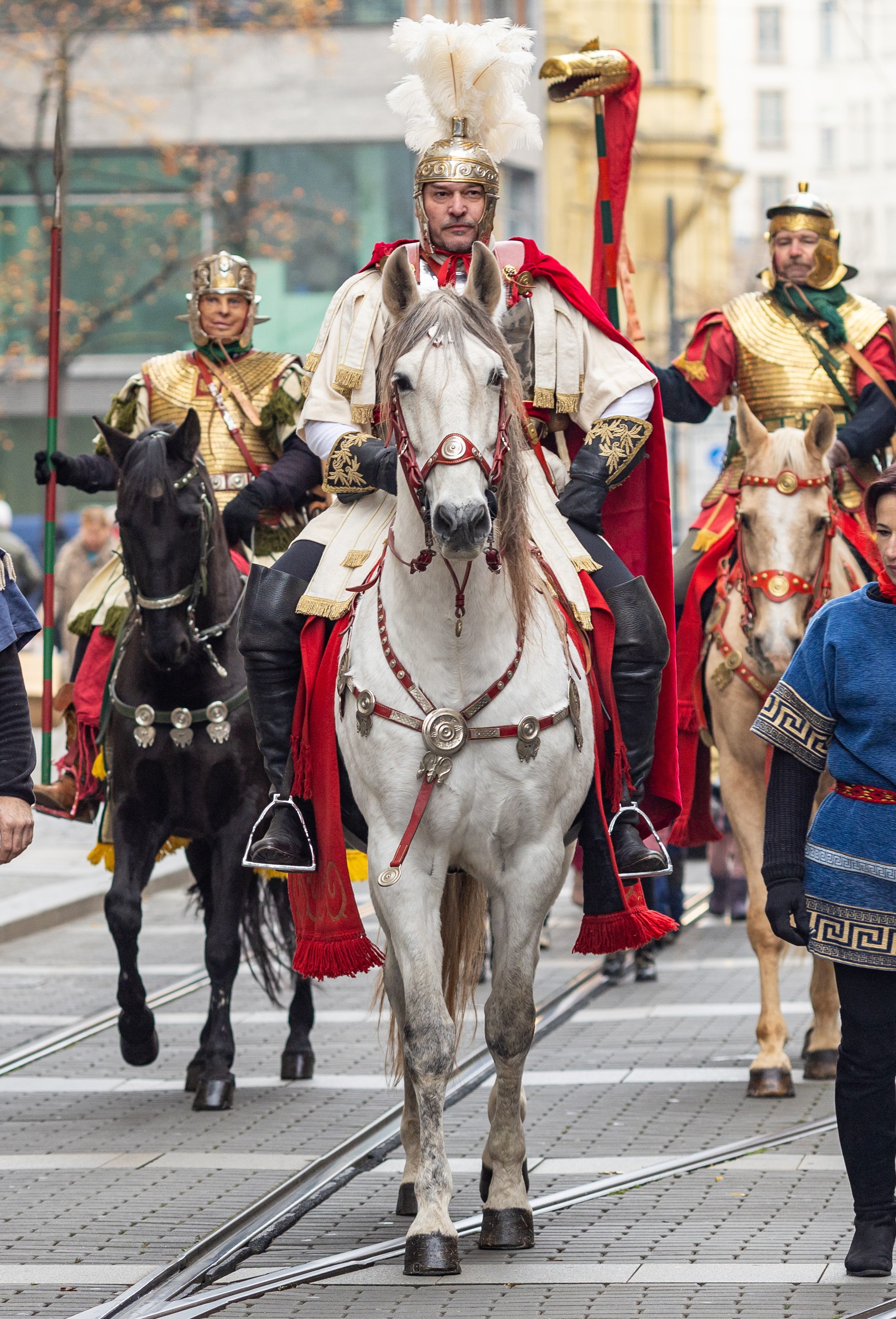 Svatomartinsk kot v Brn