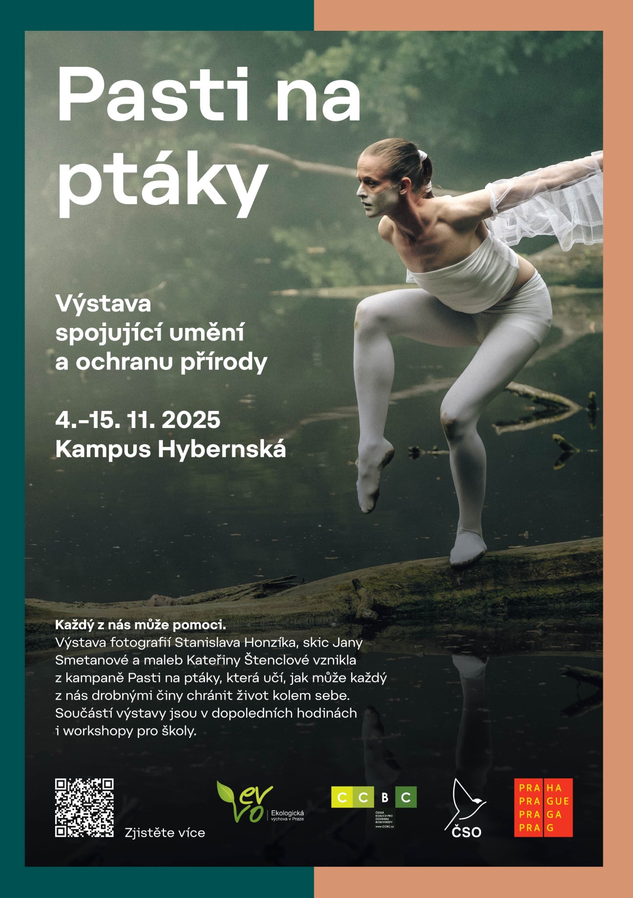 Vstava Pasti na ptky