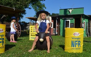 Westernov herna