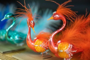 festival_labuti_koulier
