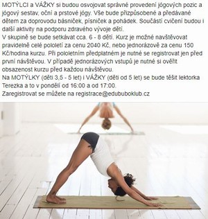 Motlci a Vky