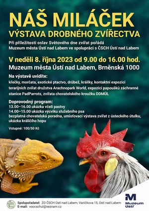 N milek - vstava drobnho zvectva