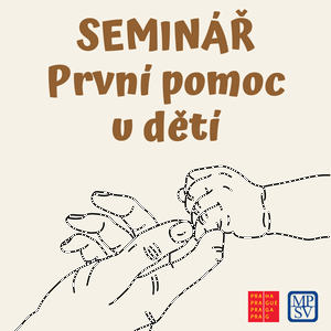 Semin - PRVN POMOC U DT