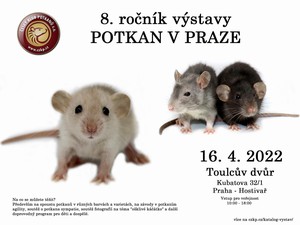 8. ronk vstavy Potkan v Praze