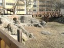 Indinsk msteko Ostrava