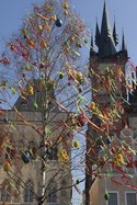 Popeleční středa na Staroměstském náměstí bude patřit kuriozitám a soutěživým králíkům