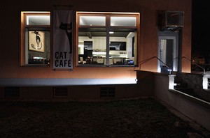 thecatcafe_zvenku_ilustrfoto