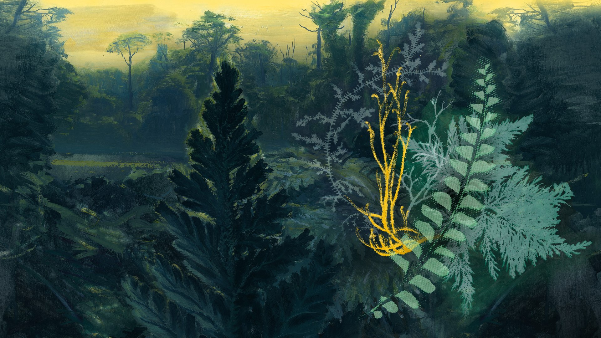 zmechuakapradi_botanicka_ilustrfoto