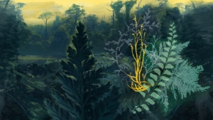 zmechuakapradi_botanicka_ilustrfoto