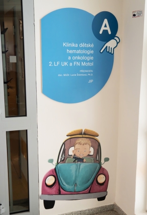 plesouni_motol_ilustrfoto
