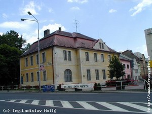 DDMBruntal