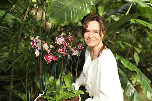 orchideje_sipkova_botanickapraha_ilustrfoto500